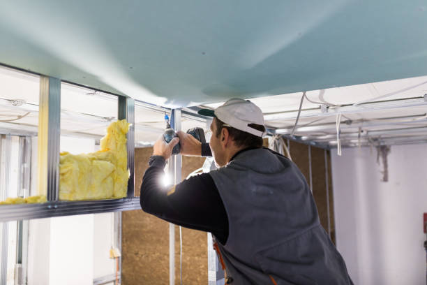 Best Commercial Insulation in Bertsch Oceanview, CA
