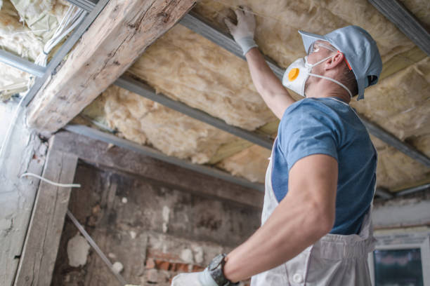 Best Insulation Maintenance and Repair in Bertsch Oceanview, CA