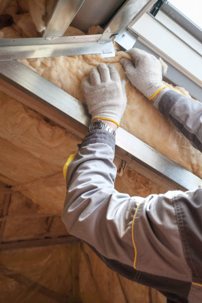 Best Specialty Insulation in Bertsch Oceanview, CA