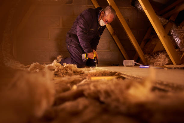 Best Insulation Materials and Products in Bertsch Oceanview, CA
